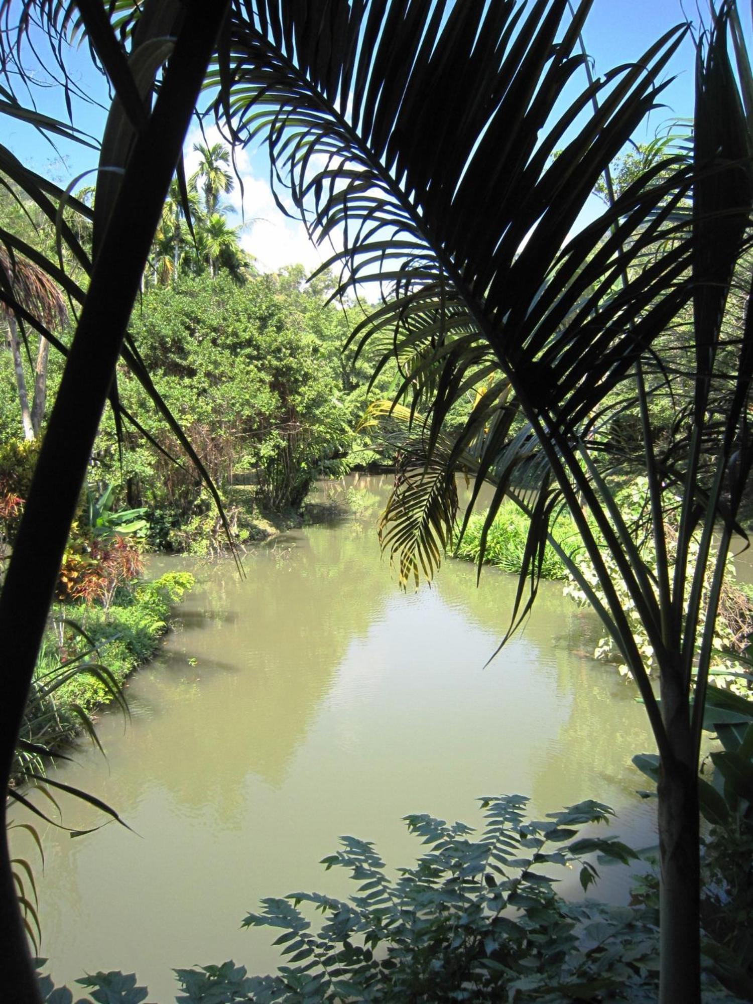 Phanom Bencha Mountain Resort Krabi town Eksteriør bilde