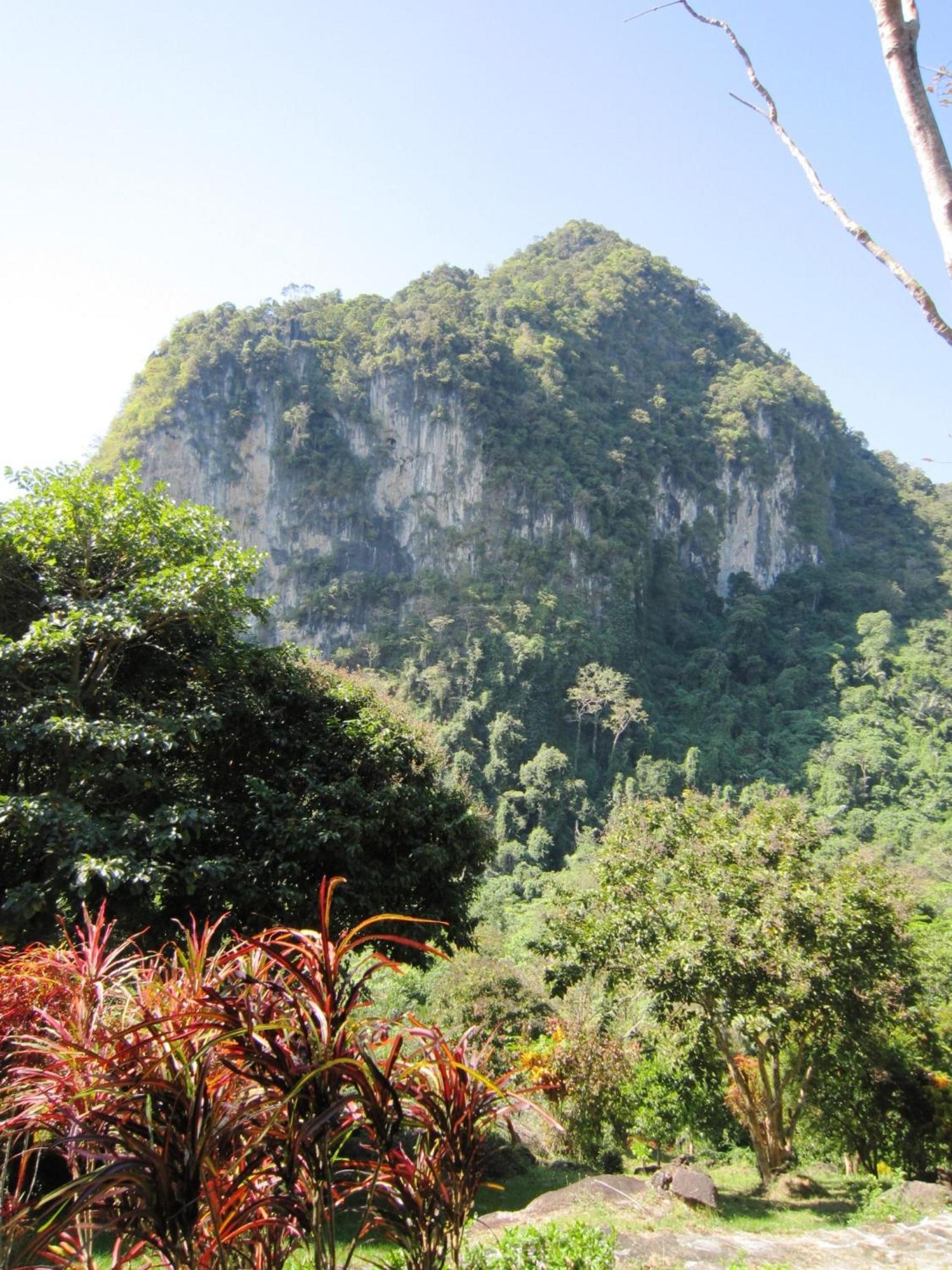 Phanom Bencha Mountain Resort Krabi town Eksteriør bilde