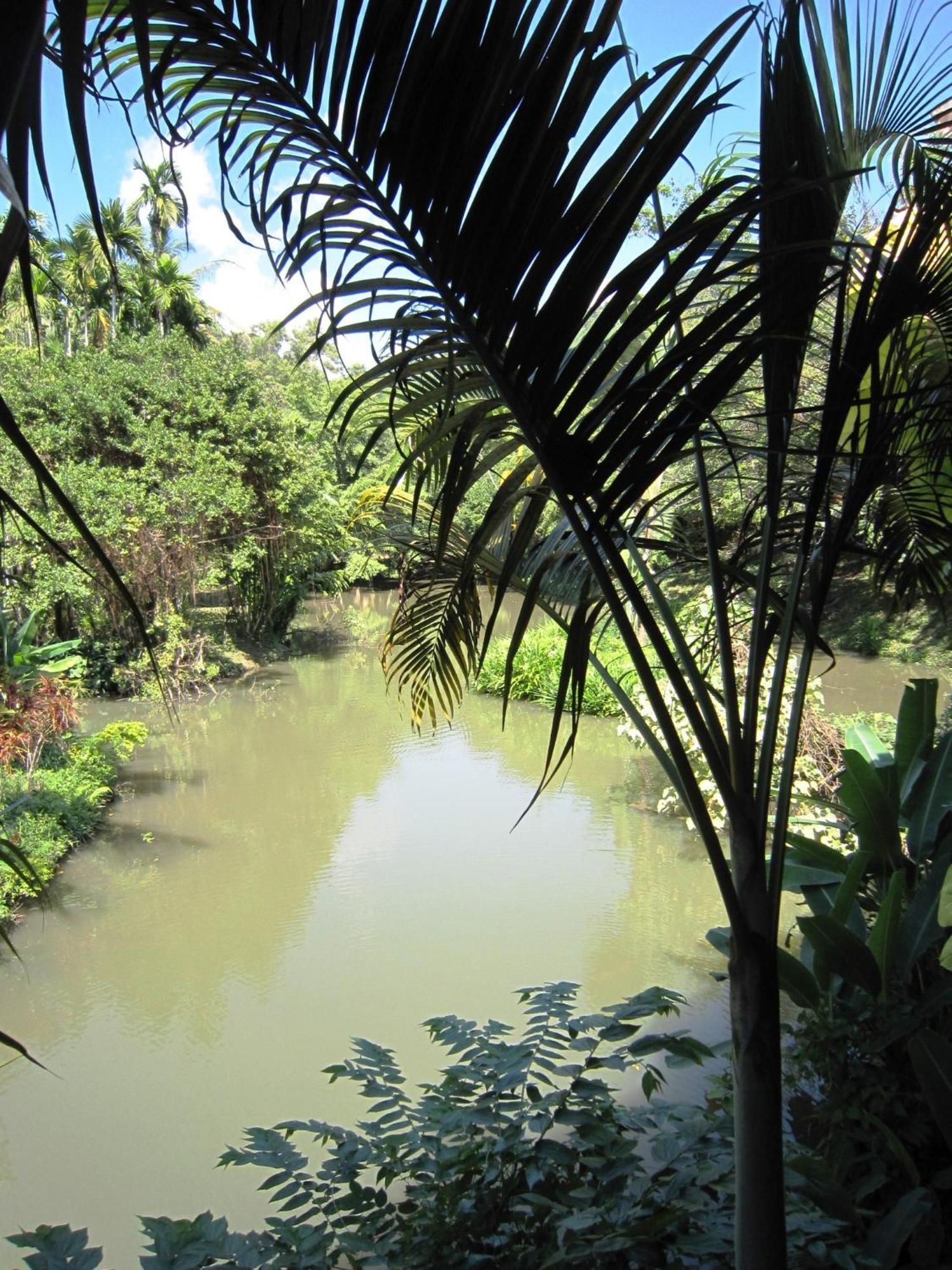 Phanom Bencha Mountain Resort Krabi town Eksteriør bilde