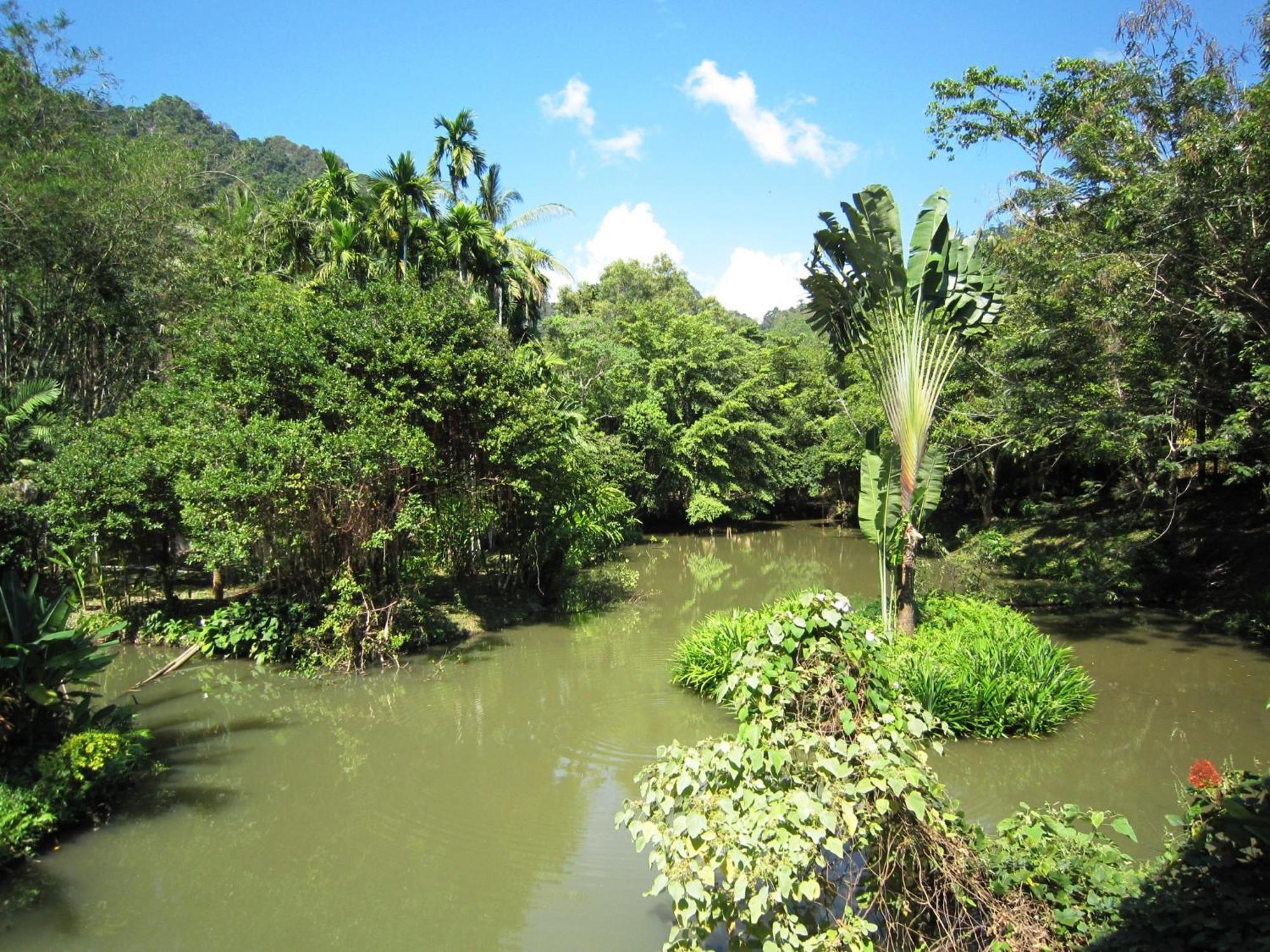 Phanom Bencha Mountain Resort Krabi town Eksteriør bilde