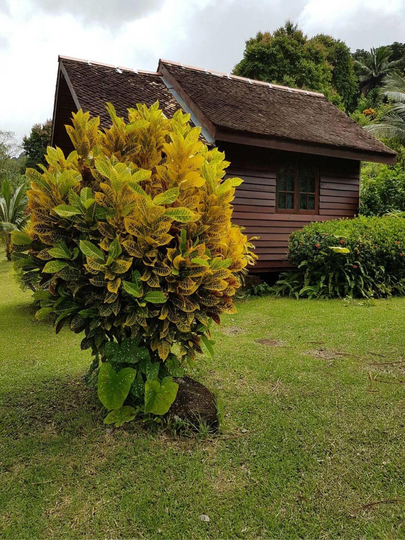 Phanom Bencha Mountain Resort Krabi town Eksteriør bilde