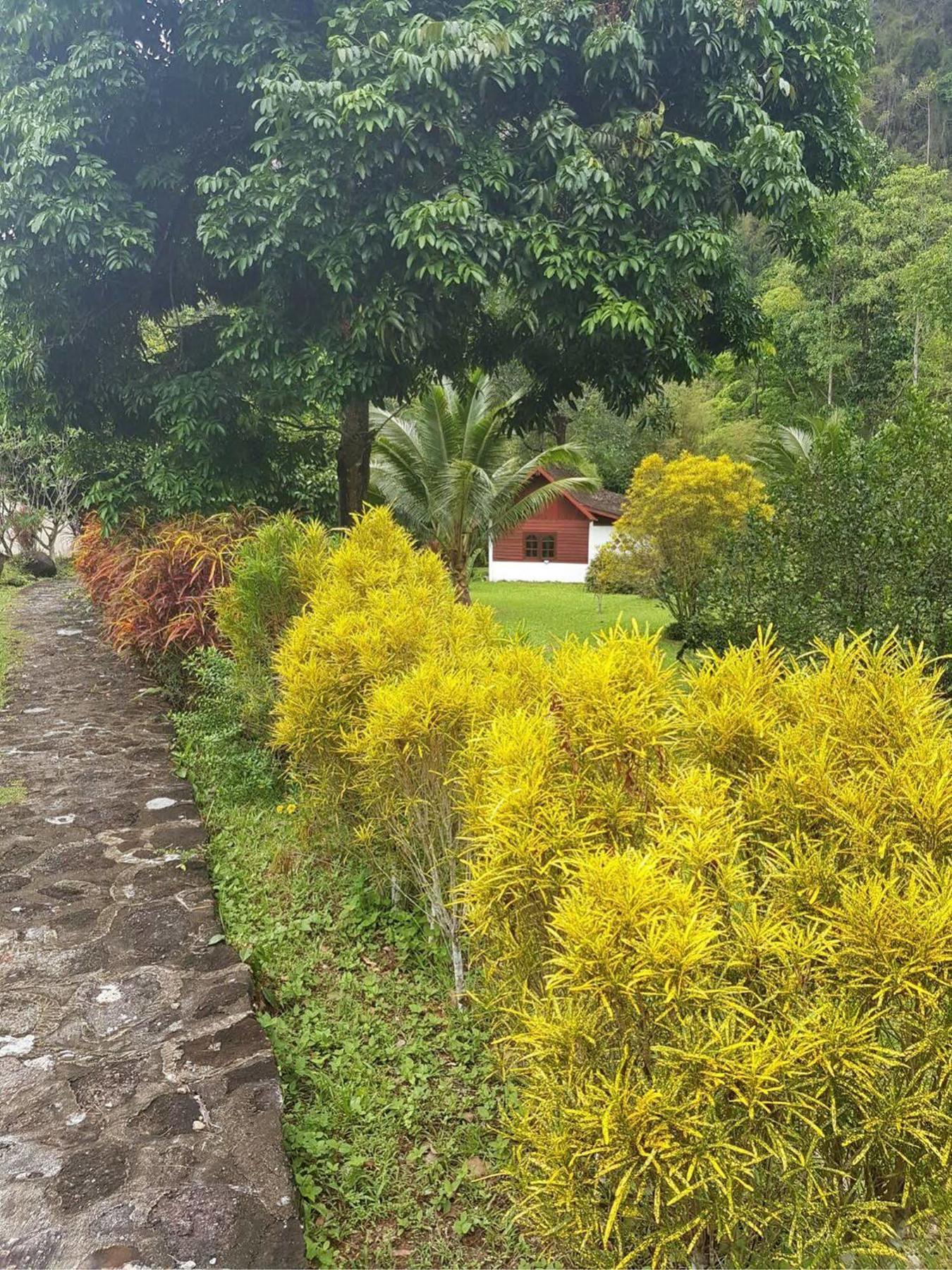 Phanom Bencha Mountain Resort Krabi town Eksteriør bilde