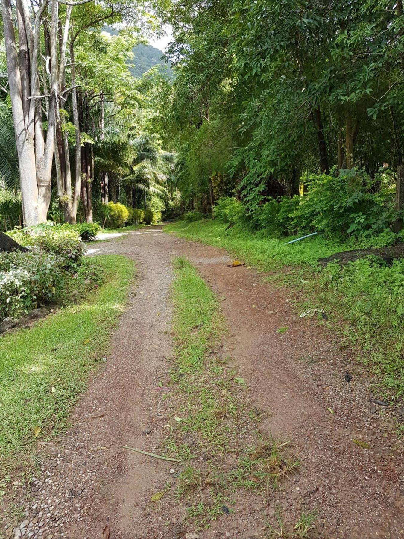 Phanom Bencha Mountain Resort Krabi town Eksteriør bilde